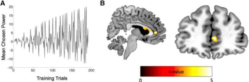 picture from http://dx.doi.org/10.1016/j.neuron.2016.10.052